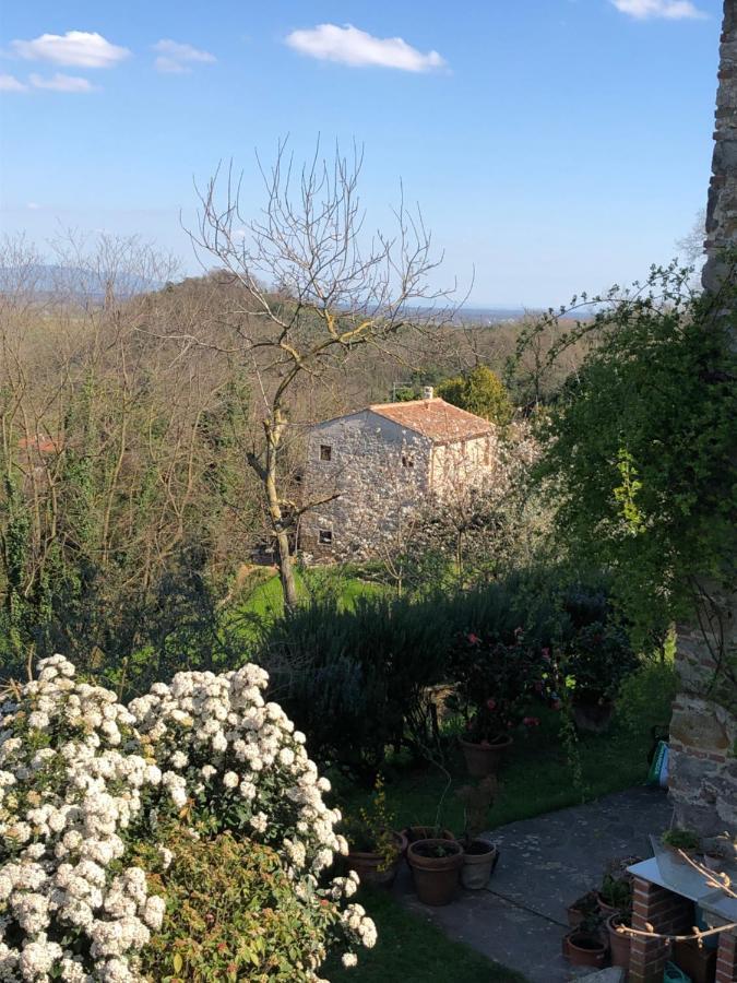 Dolce Vita In Tuscany B&B Capannori Εξωτερικό φωτογραφία